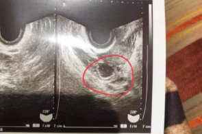 为何中邦？运载千秋丨扬州三湾古运河畔，博物馆寻找大运河前生今世